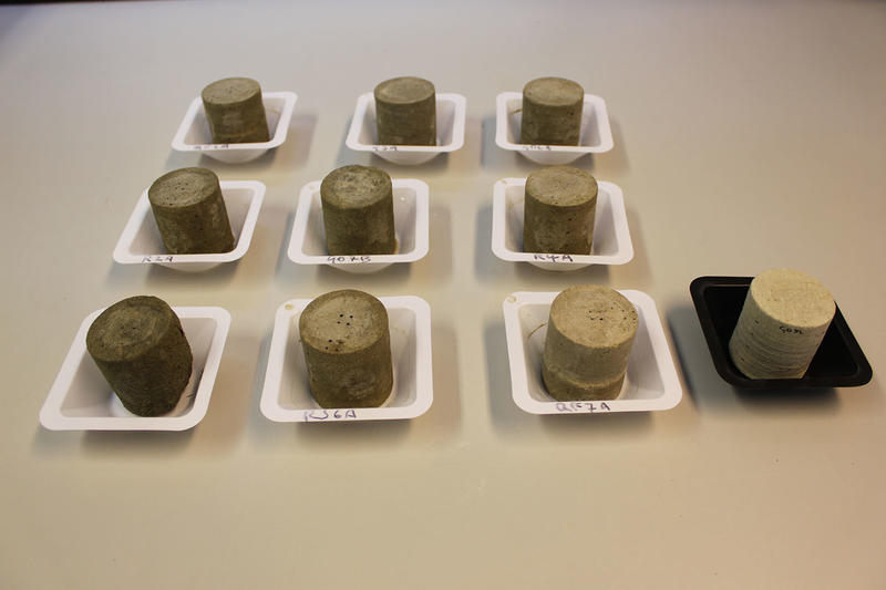 Reigate Stone salt experiment samples